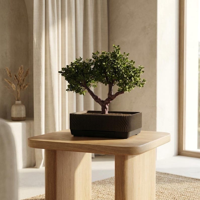 Bonsai Training Pot detail