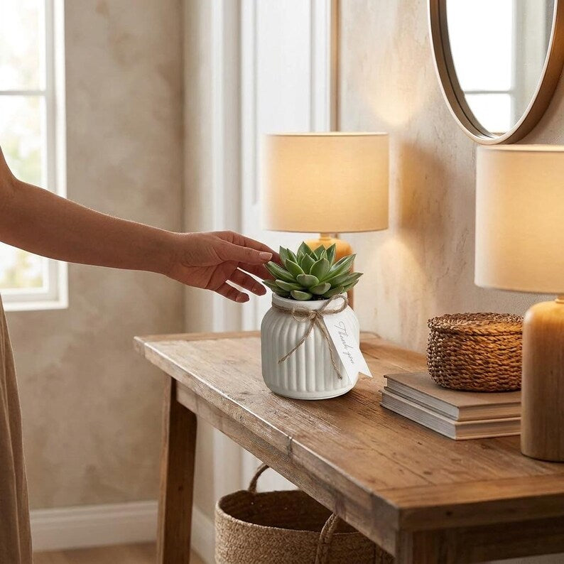 Modern Ribbed Planter with plant