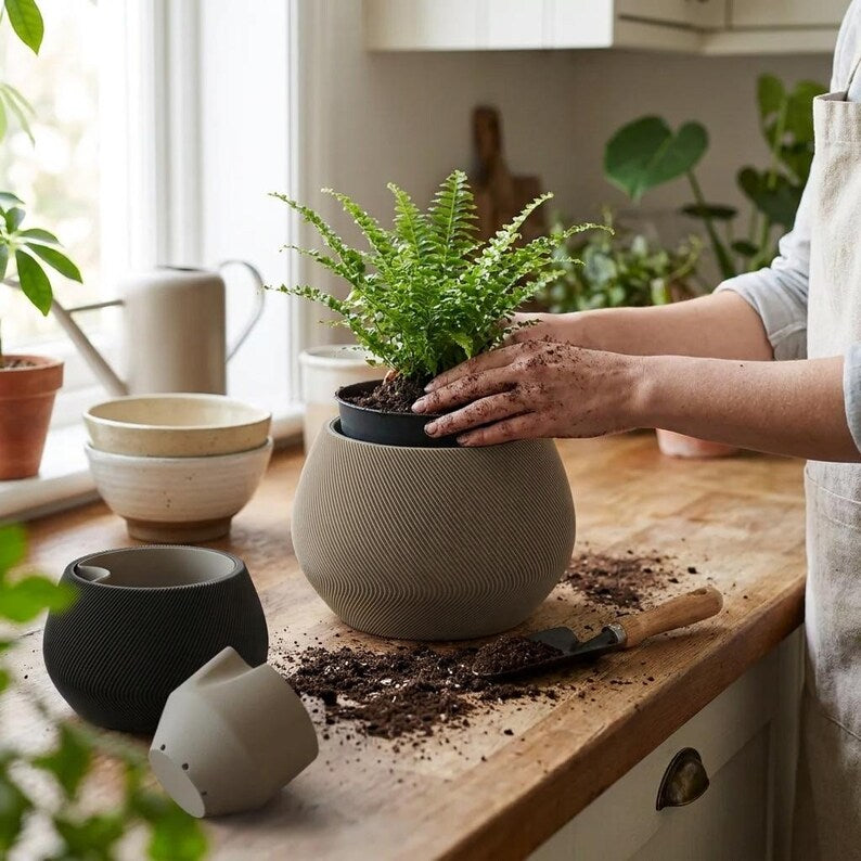 ZenFlow Planter with plant