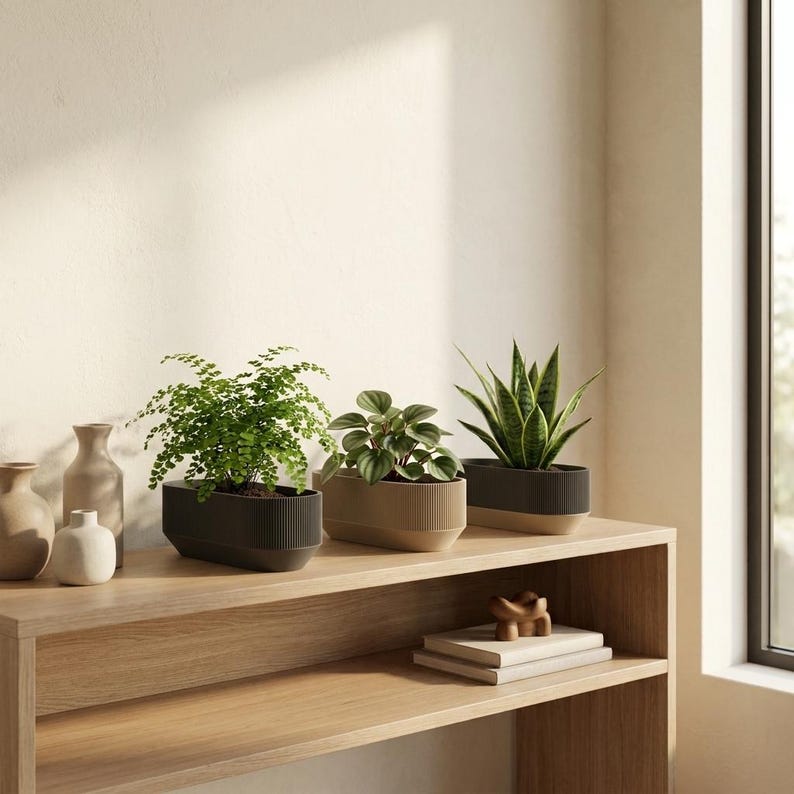 Triple Planter with plants