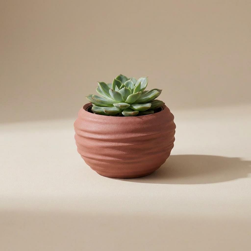 Terracotta / Small